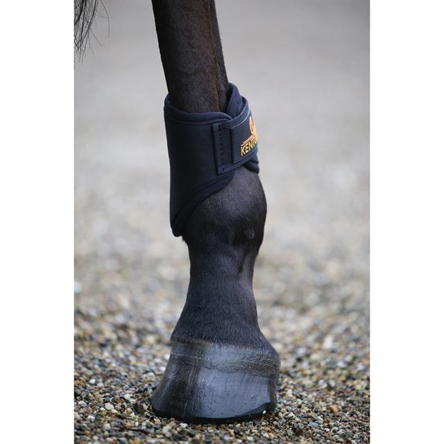 Brushing Boots Kentucky 3D Spacer Hind Short Black