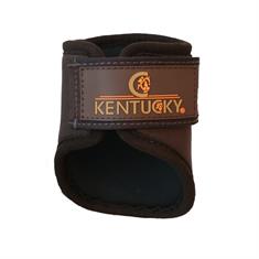 Brushing Boots Kentucky 3D Spacer Hind Short