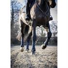 Brushing Boots LeMieux Ultramesh Snug Boots Hind Dark Blue