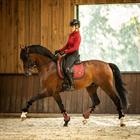 Brushing Boots N-Brands X Epplejeck Stacy Red