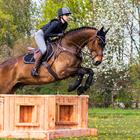 Brushing Boots QHP Eventing Front Black
