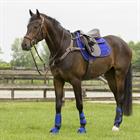 Brushing Boots QHP Eventing Front Blue