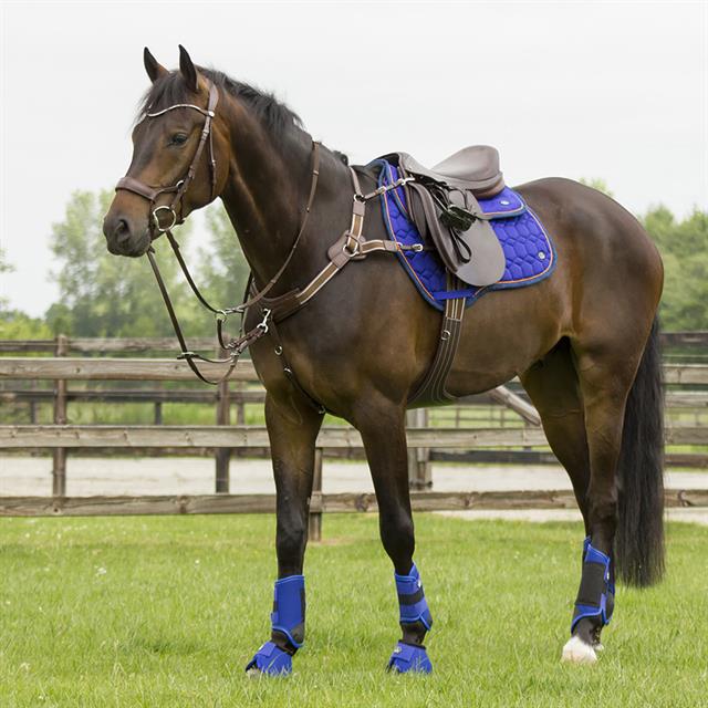 Brushing Boots QHP Eventing Hind Blue