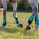 Brushing Boots QHP Eventing Hind Light Green