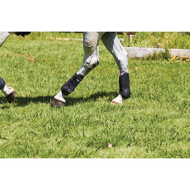 Brushing Boots WeatherBeeta Flexi Hind Black