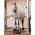Cavalor Equi Wash Multicolour