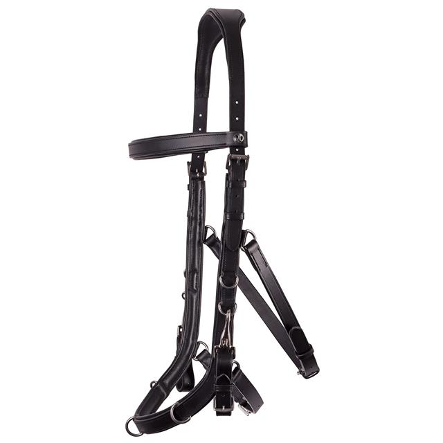 Cavesson Bridle Harry's Horse Anatomic Black