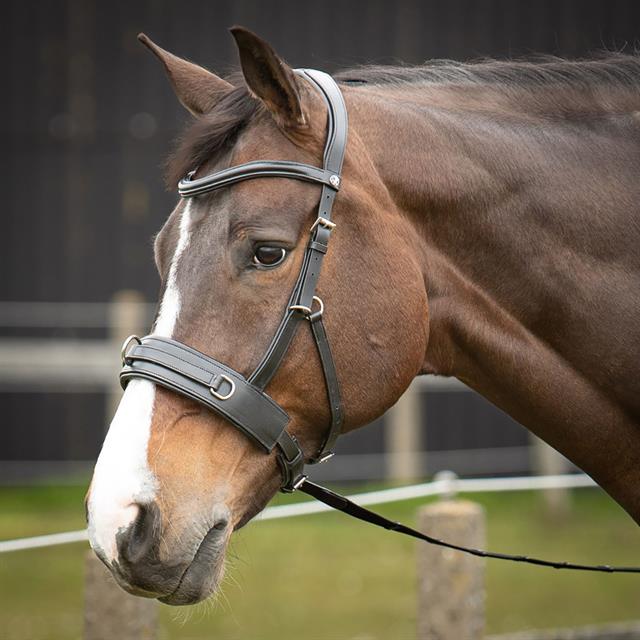 Cavesson Bridle Harry's Horse Comfort Black