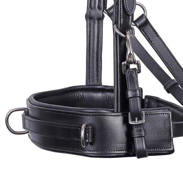 Cavesson Bridle Harry's Horse Comfort Black