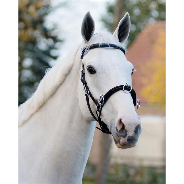 Cavesson Bridle QHP Black