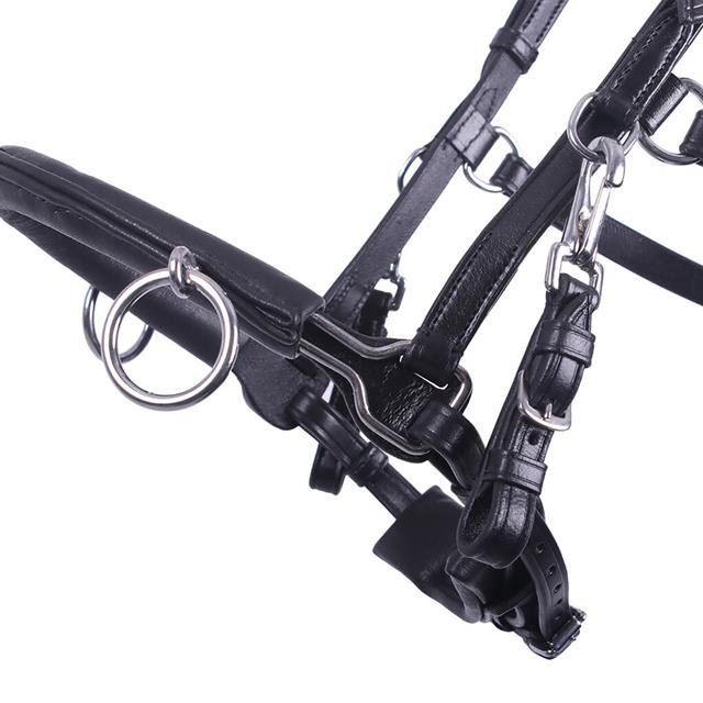 Cavesson Bridle QHP Black