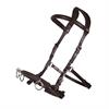 Cavesson Bridle QHP Brown