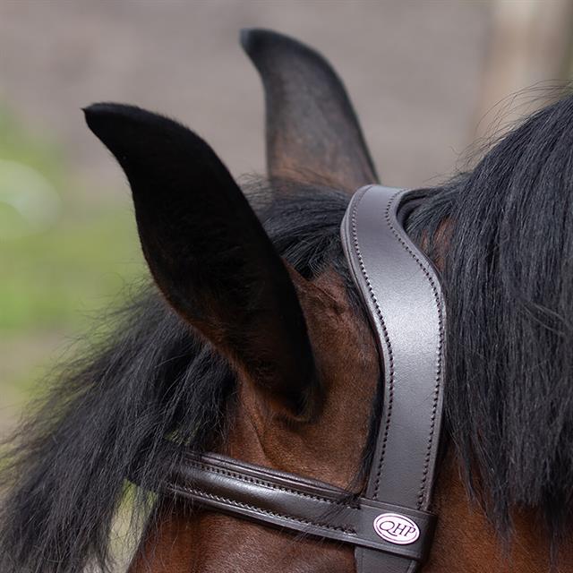 Cavesson Bridle QHP Brown