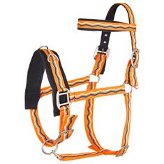 Cavesson Imperial Riding Orange