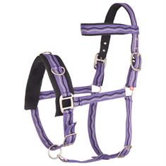 Cavesson Imperial Riding Purple