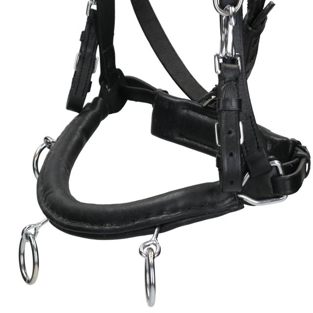 Cavesson QHP Leather Black