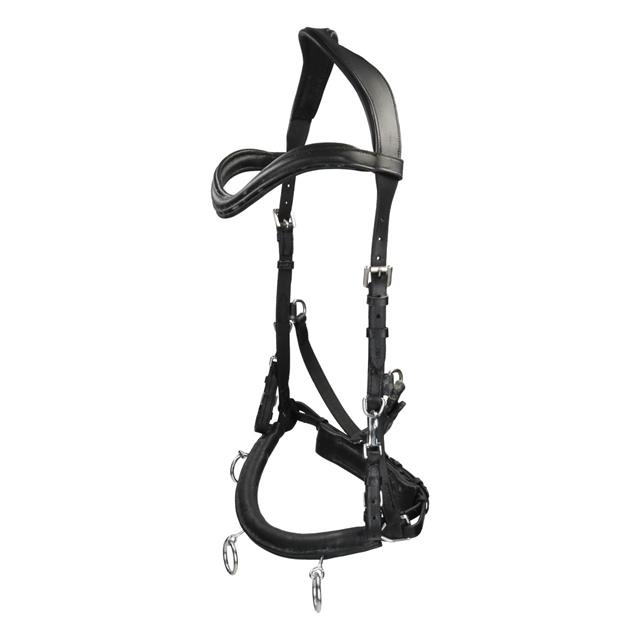 Black All Sizes Qhp Synthetic Saddlery Lunge Cavesson 