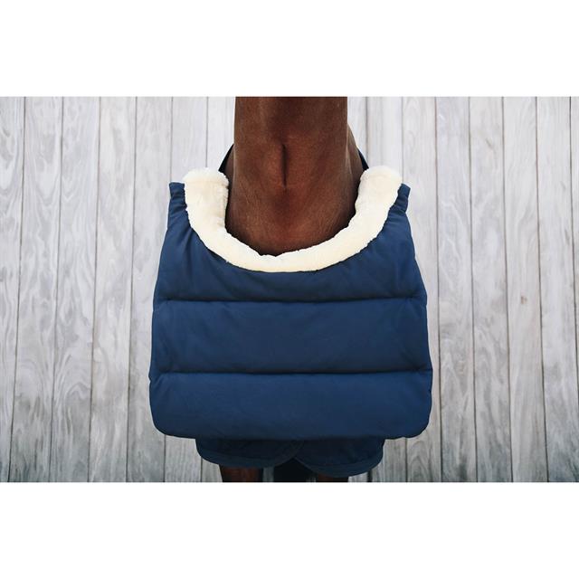 Chest Guard Kentucky Winter Dark Blue