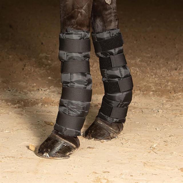 Cold Wraps Harry's Horse Black