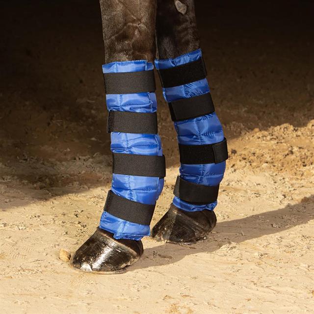 Cold Wraps Harry's Horse Blue