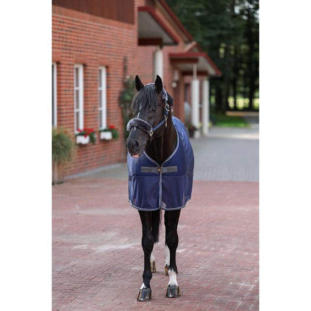 Cooler Bucas Showline ComHatition Dark Blue-Grey