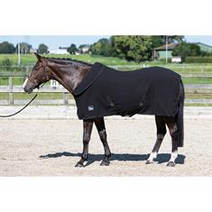 Cooler Harry's Horse With Rollable Neck