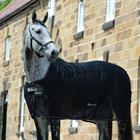 Cooler Rug Bucas Competition Black