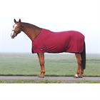 Cooler Rug Epplejeck EJZafra Dark Red