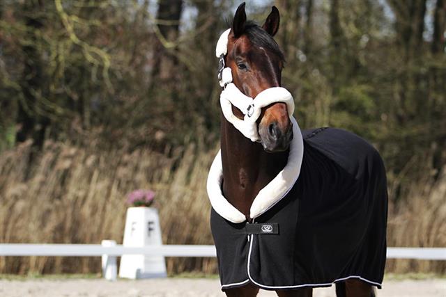 Cooler Rug Horsegear Allure Black