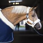 Cooler Rug Horsegear Allure Dark Blue