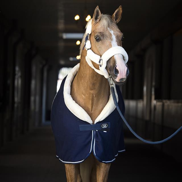 Cooler Rug Horsegear Allure Dark Blue