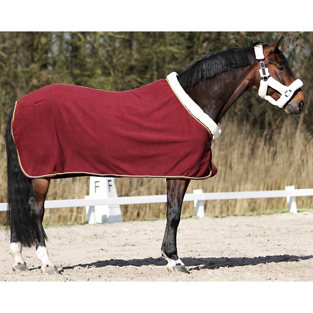 Cooler Rug Horsegear Allure Dark Red