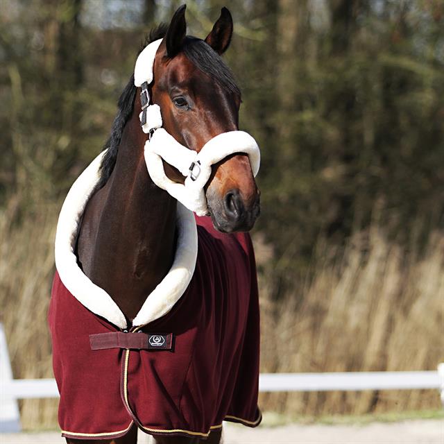 Cooler Rug Horsegear Allure Dark Red