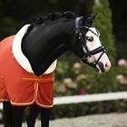 Cooler Rug Horsegear Lyx Mid Orange