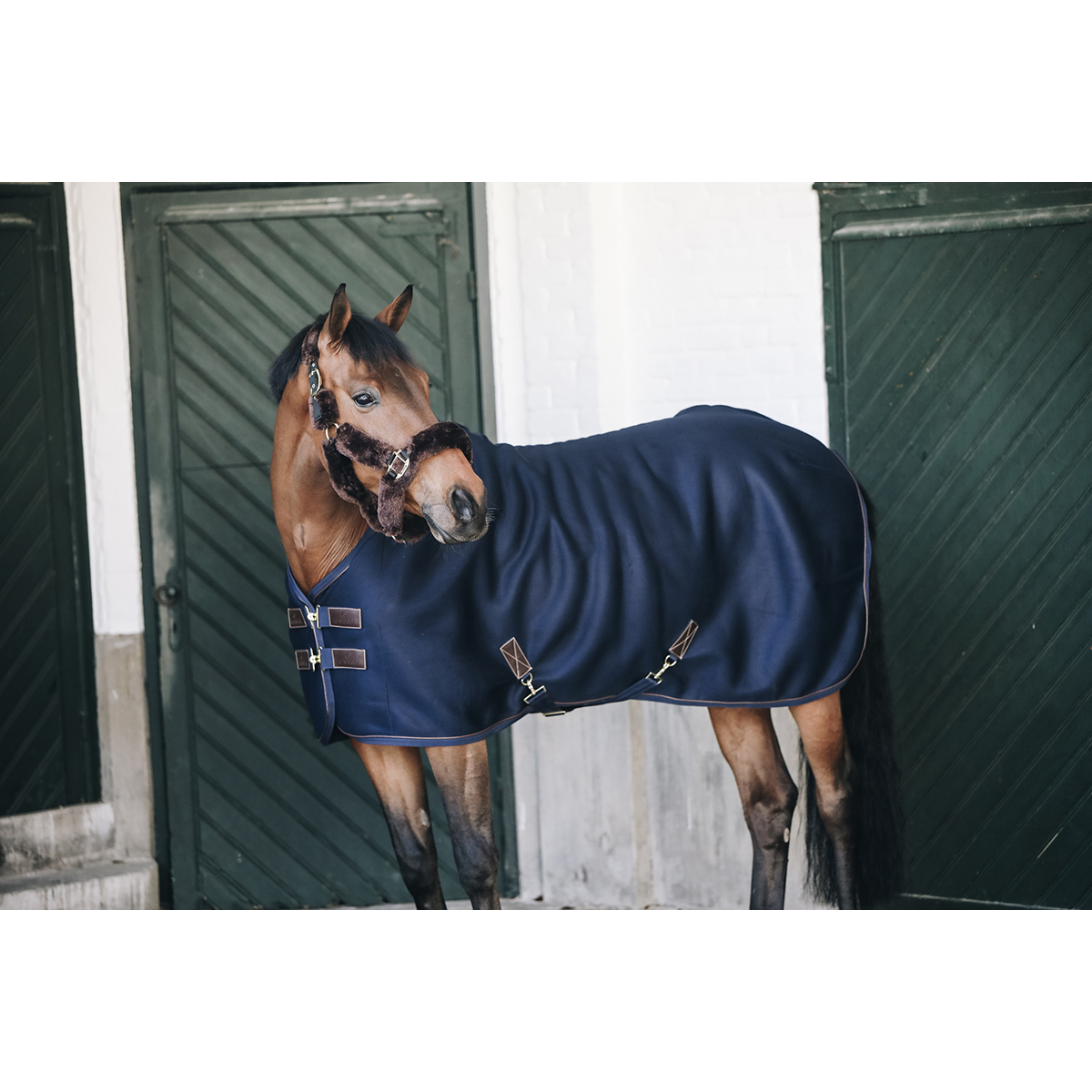 NAVY BLUE SQUARE 4'3"  EXERCISE SHEET LINED NEW END OF LINE HORSE PONY 