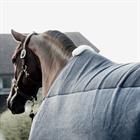 Cooler Rug Kentucky Heavy Fleece Grey