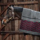 Cooler Rug Kentucky Heavy Fleece Square Fishbone Dark Red