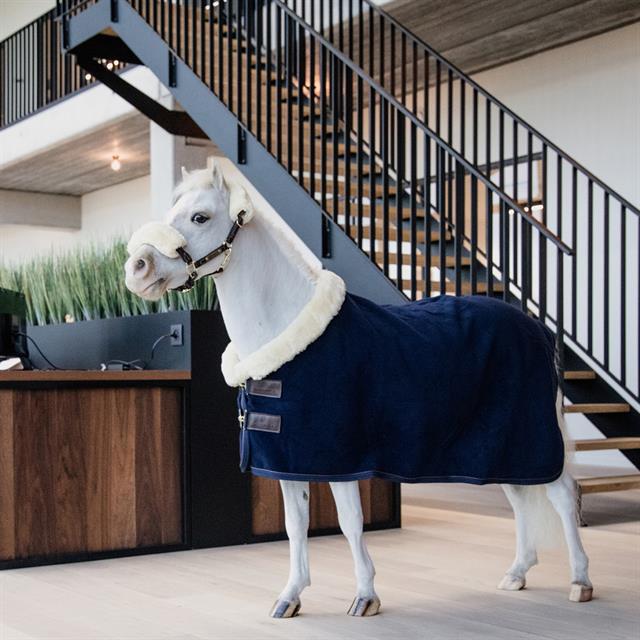 Cooler Rug Kentucky Show Heavy Tiny Dark Blue