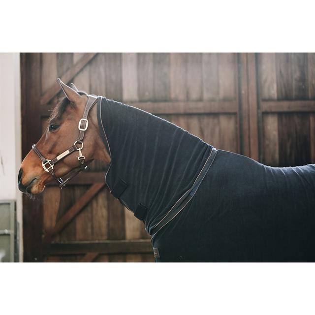 Cooler Rug Kentucky Towel 
