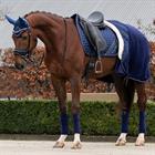 Cooler Rug QHP Brilliance Dark Blue