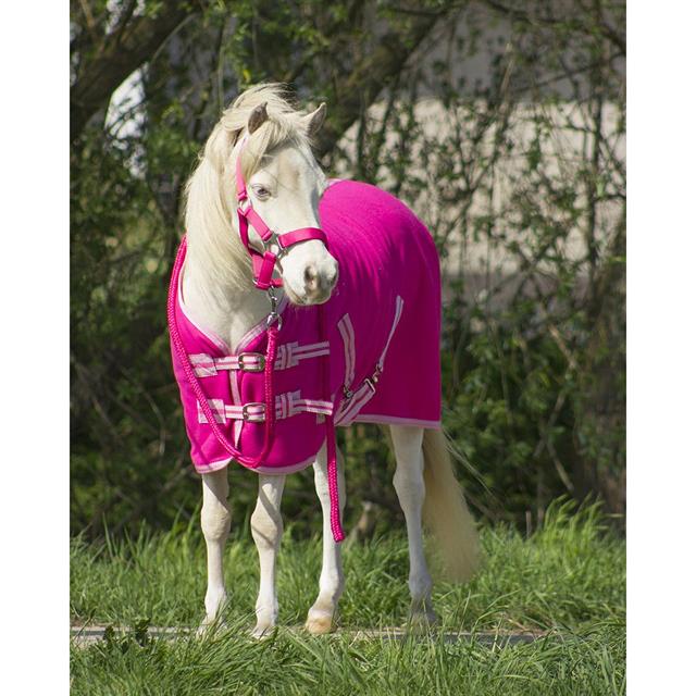Cooler Rug QHP Colour Dark Pink