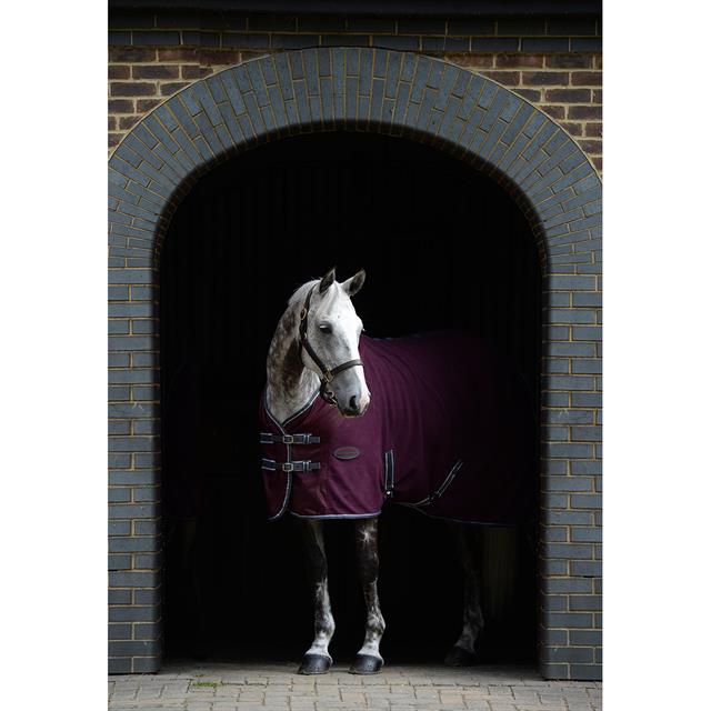 Cooler Rug WeatherBeeta Fleece Dark Red