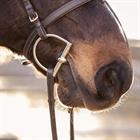 D-Ring Snaffle Sprenger Double Jointed 16mm 