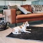 Dog Bed Kentucky Travel In Style Grey