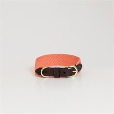 Dog Collar Kentucky Jacquard Orange