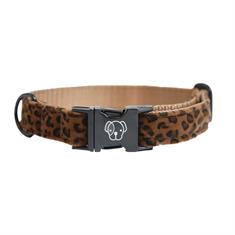 Dog Collar Kentucky Leopard Brown