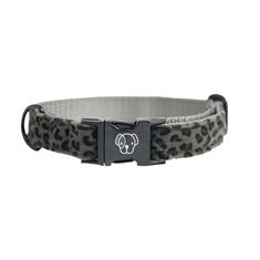 Dog Collar Kentucky Leopard Grey