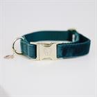 Dog Collar Kentucky Velvet Dark Green