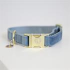 Dog Collar Kentucky Velvet Light Blue