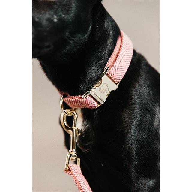 Dog Collar Kentucky Wool Light Pink
